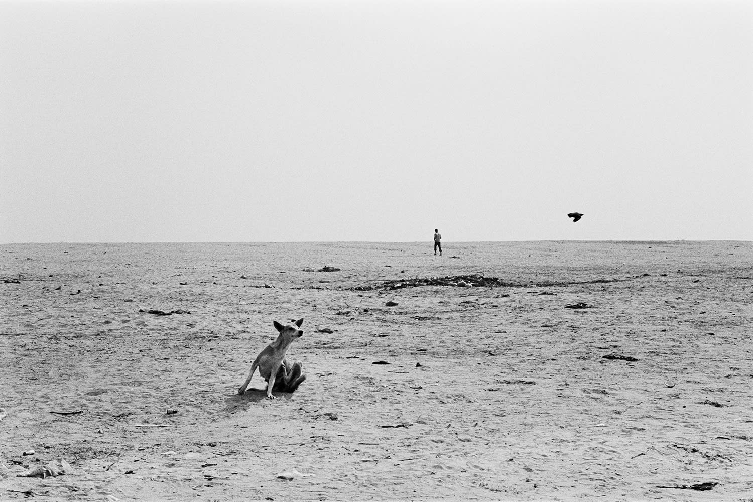 Sohrab Hura, River, 2005