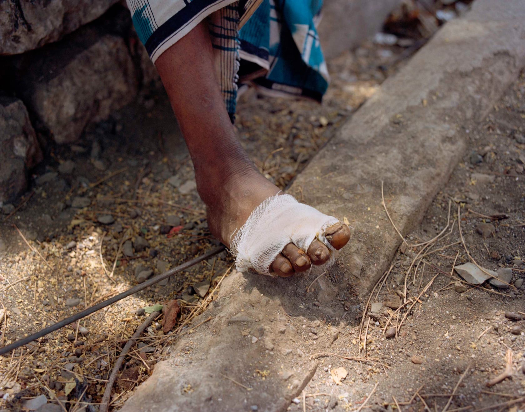 Sohrab Hura, The Song of Sparrows in a Hundred Days of Summer, 2013-2017