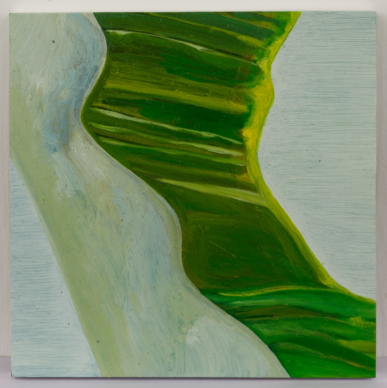 Ayesha Sultana, Untitled, 2020