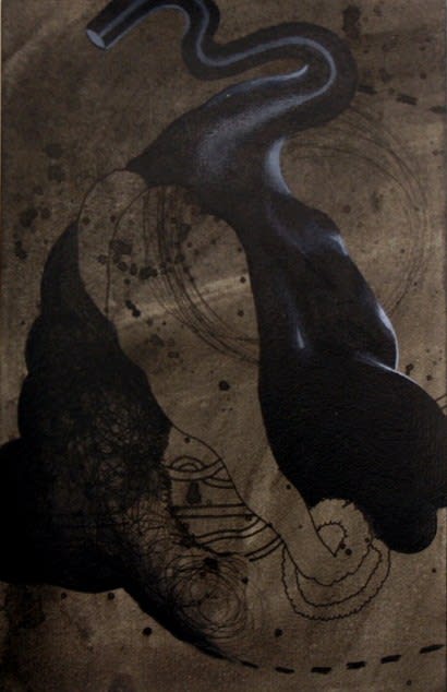 Pushpakanthan Pakkiyarajah, Dark diary, 2019-2021
