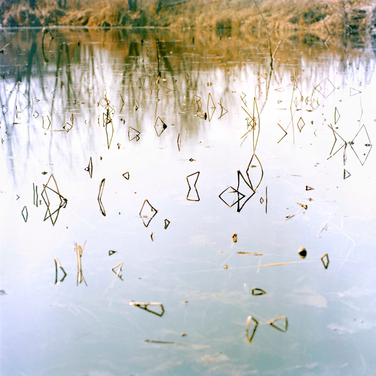 Sohrab Hura, Snow, 2015-2019