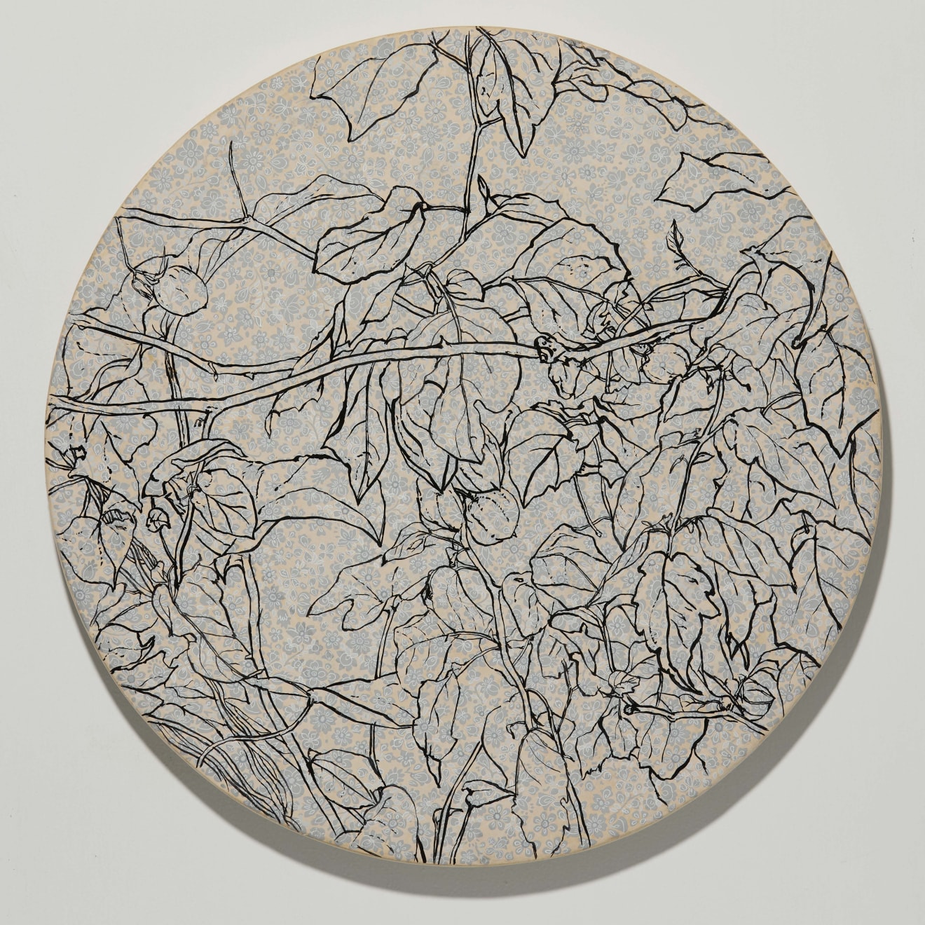 Praneet Soi, Hasan Abad: Creepers from Fayaz garden, 2025