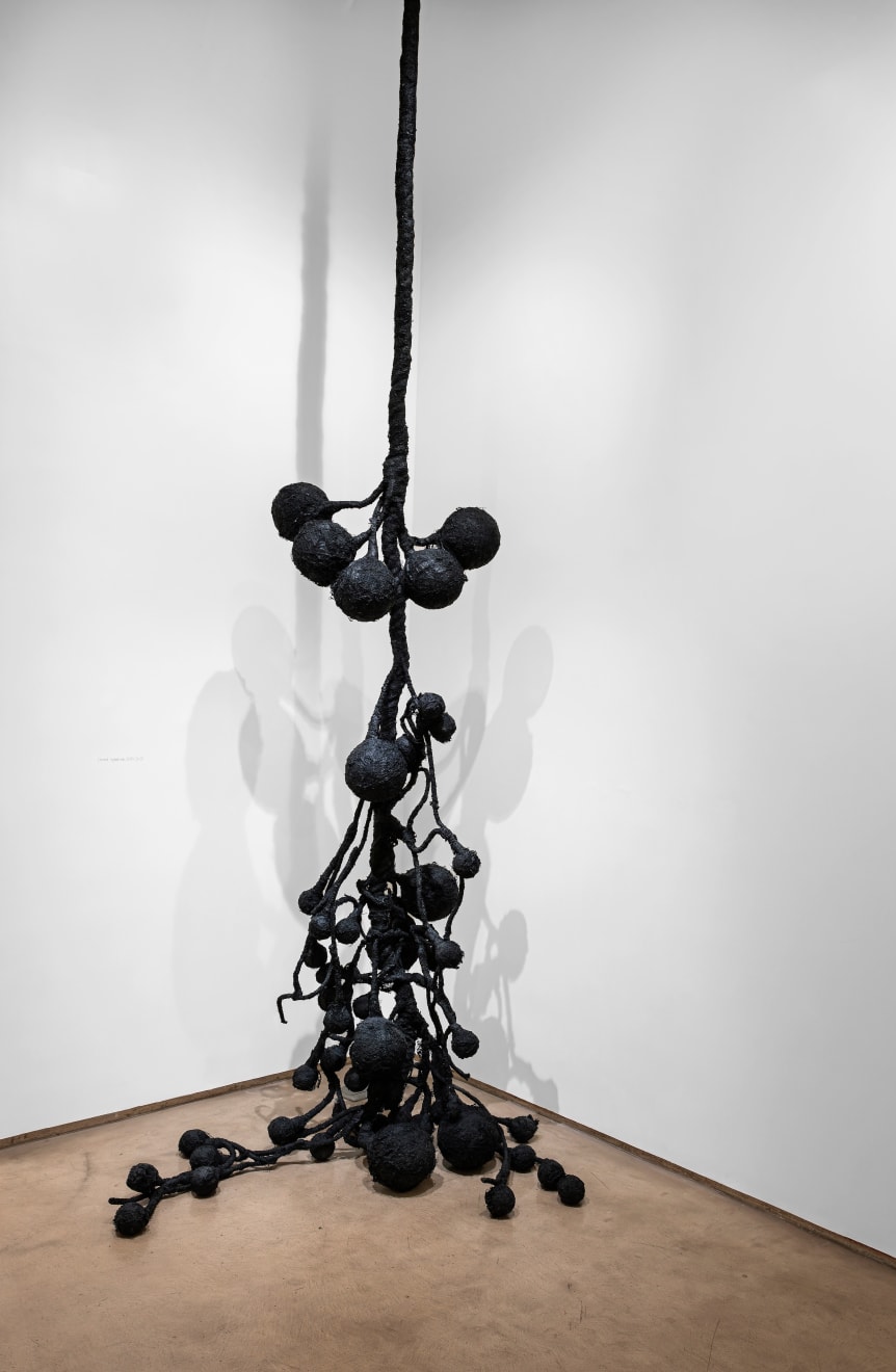 Pushpakanthan Pakkiyarajah, Charred hyphal mat, 2024-2025