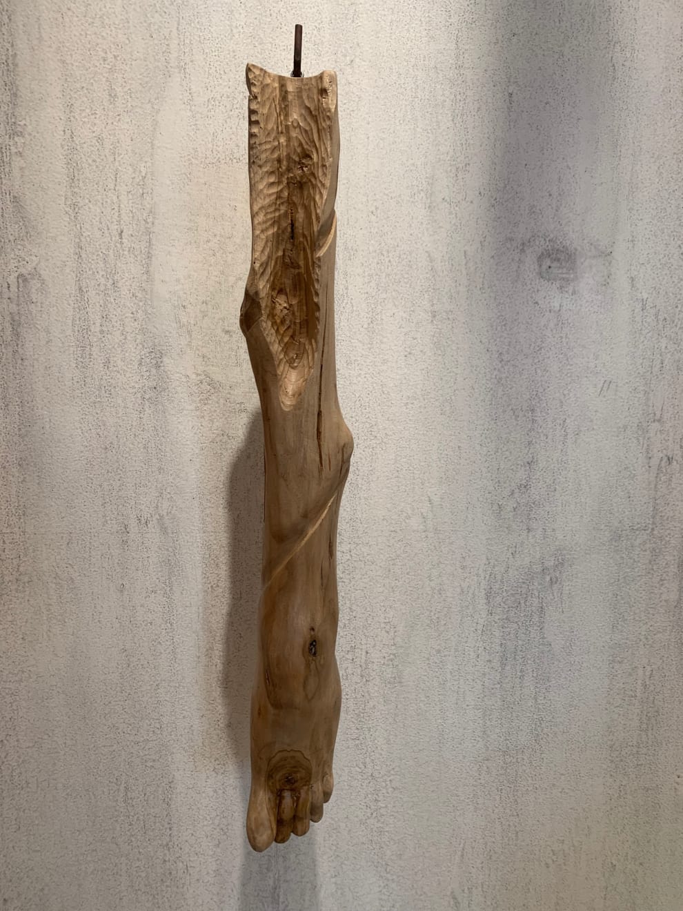 Prabhakar Pachpute, A flame of the forest (A series of an observer), 2023-25