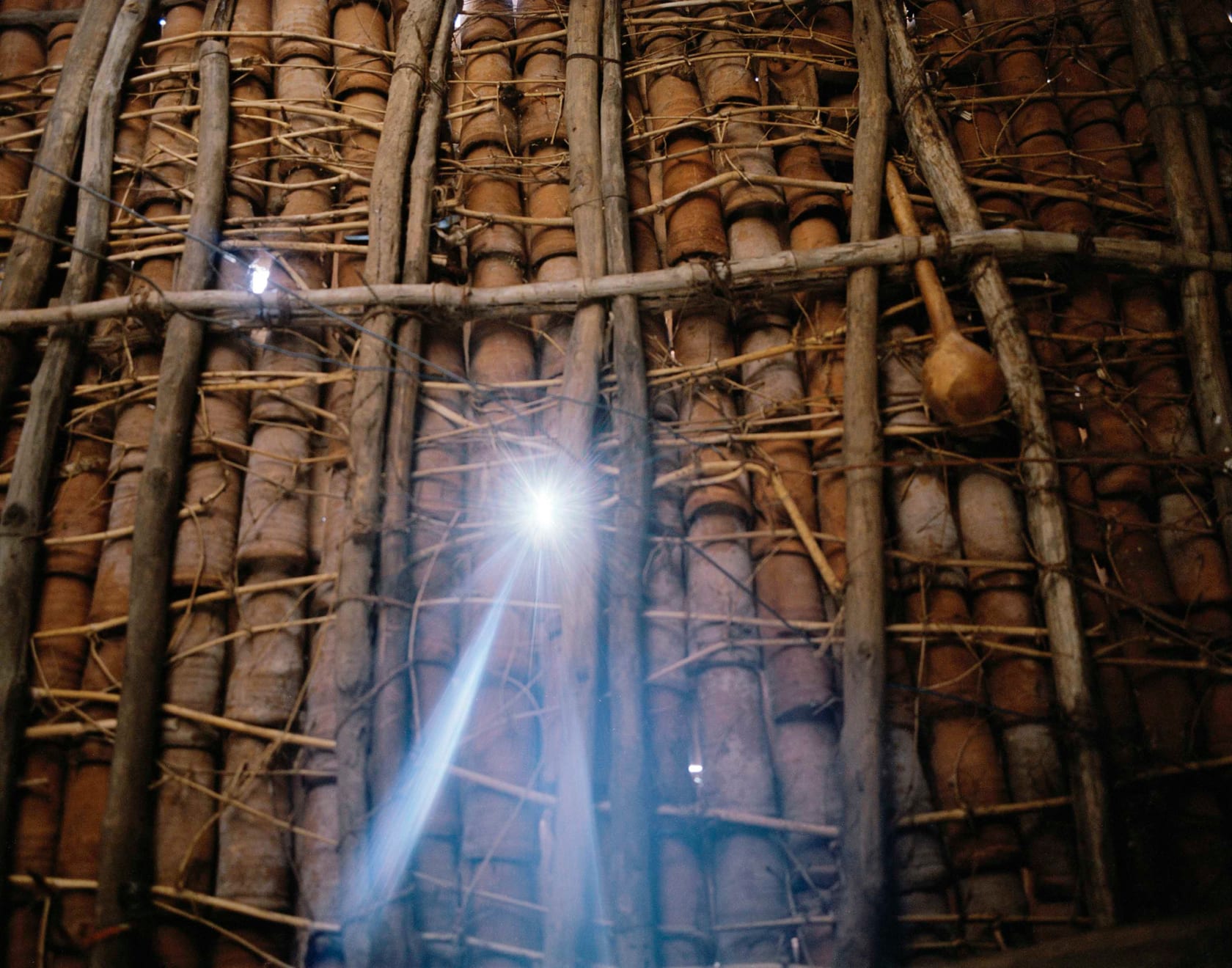 Sohrab Hura, The Song of Sparrows in a Hundred Days of Summer, 2013-2017