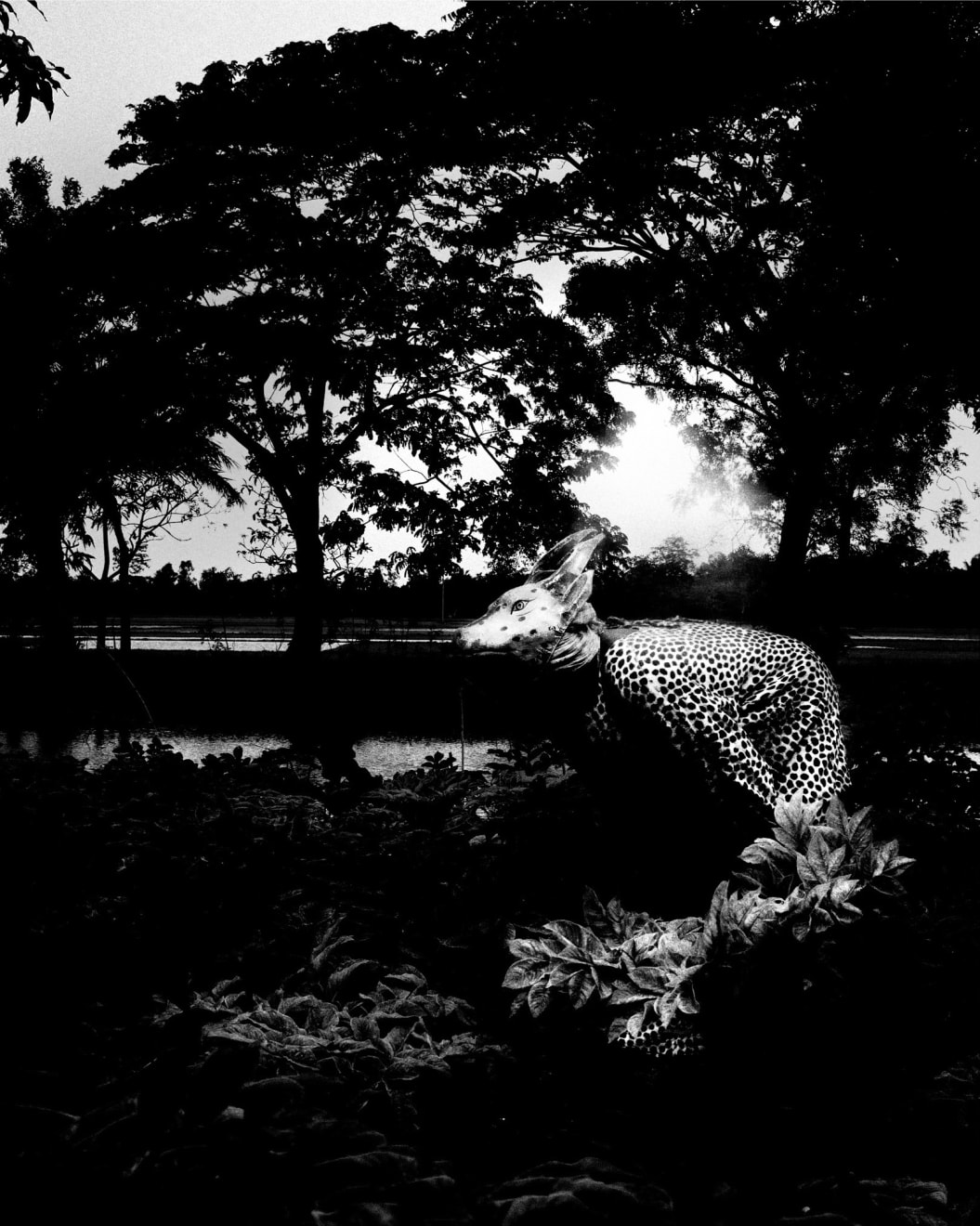 Soumya Sankar Bose, Let’s Sing an Old Song (H1), 2013-15