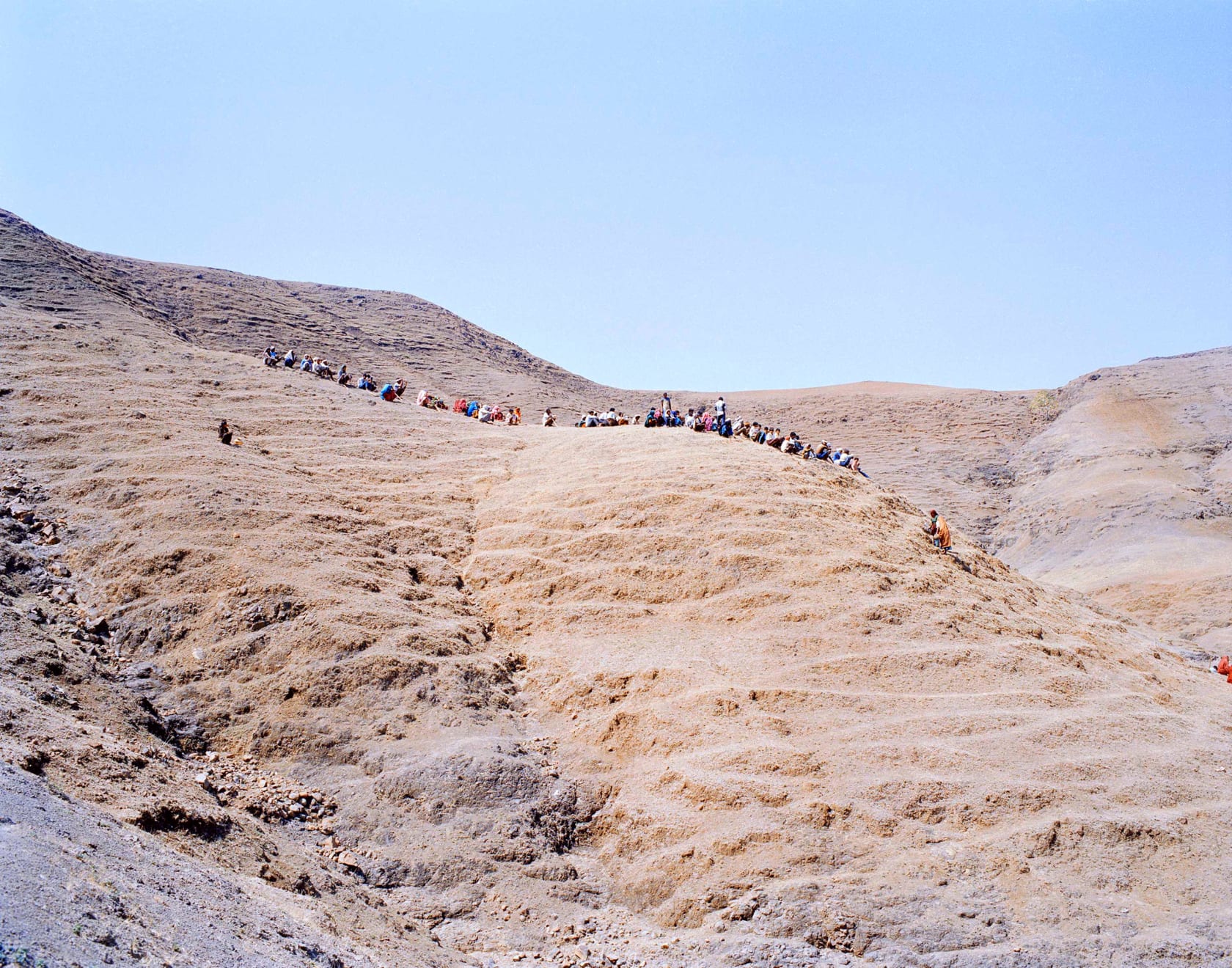 Sohrab Hura, The Song of Sparrows in a Hundred Days of Summer, 2013-2017
