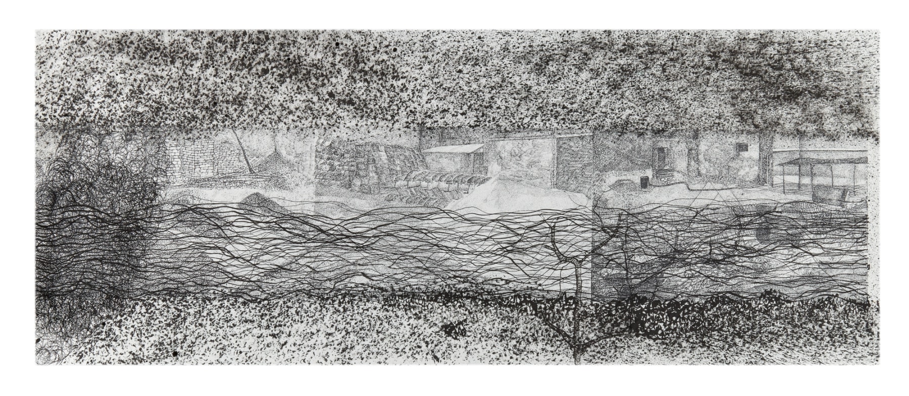 Adip Dutta, Amidst the Woods II, 2016-17