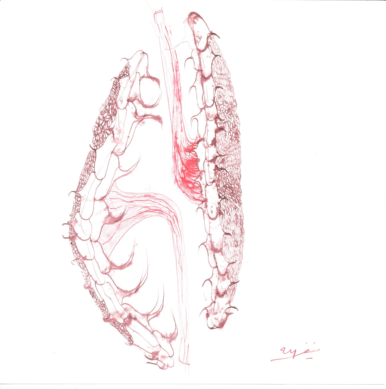 Monif Ajaj, Untitled, 2024