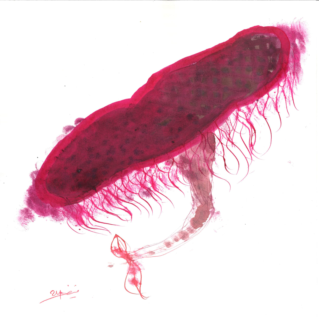 Monif Ajaj, Untitled, 2024