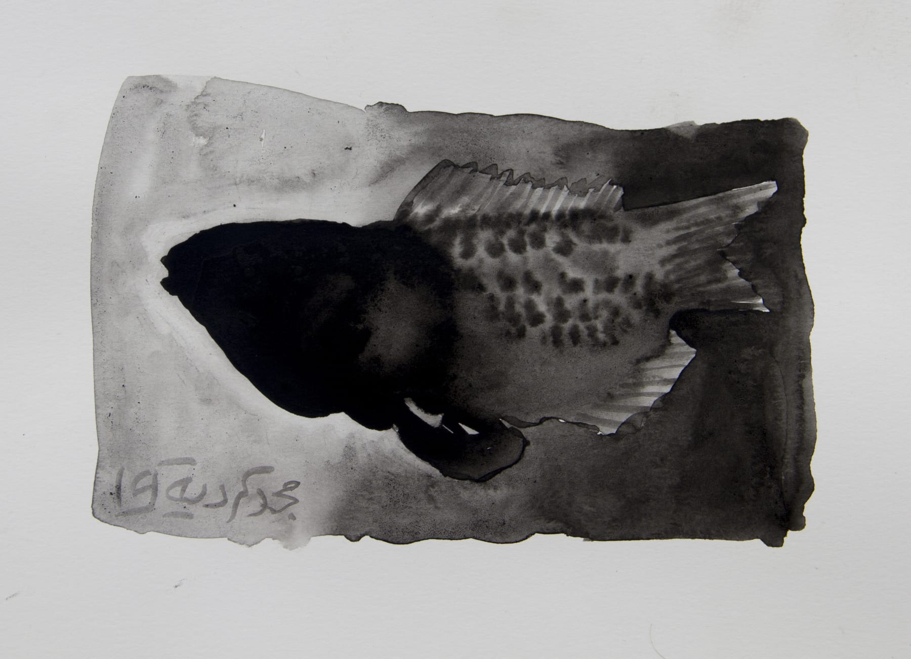 Majd Kurdieh, Untitled, 2019