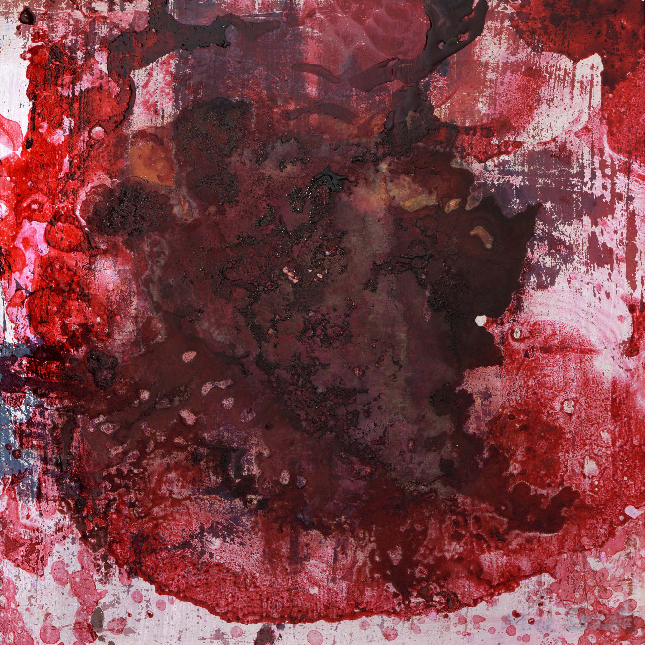Alice Cescatti, Nameless, 2019
