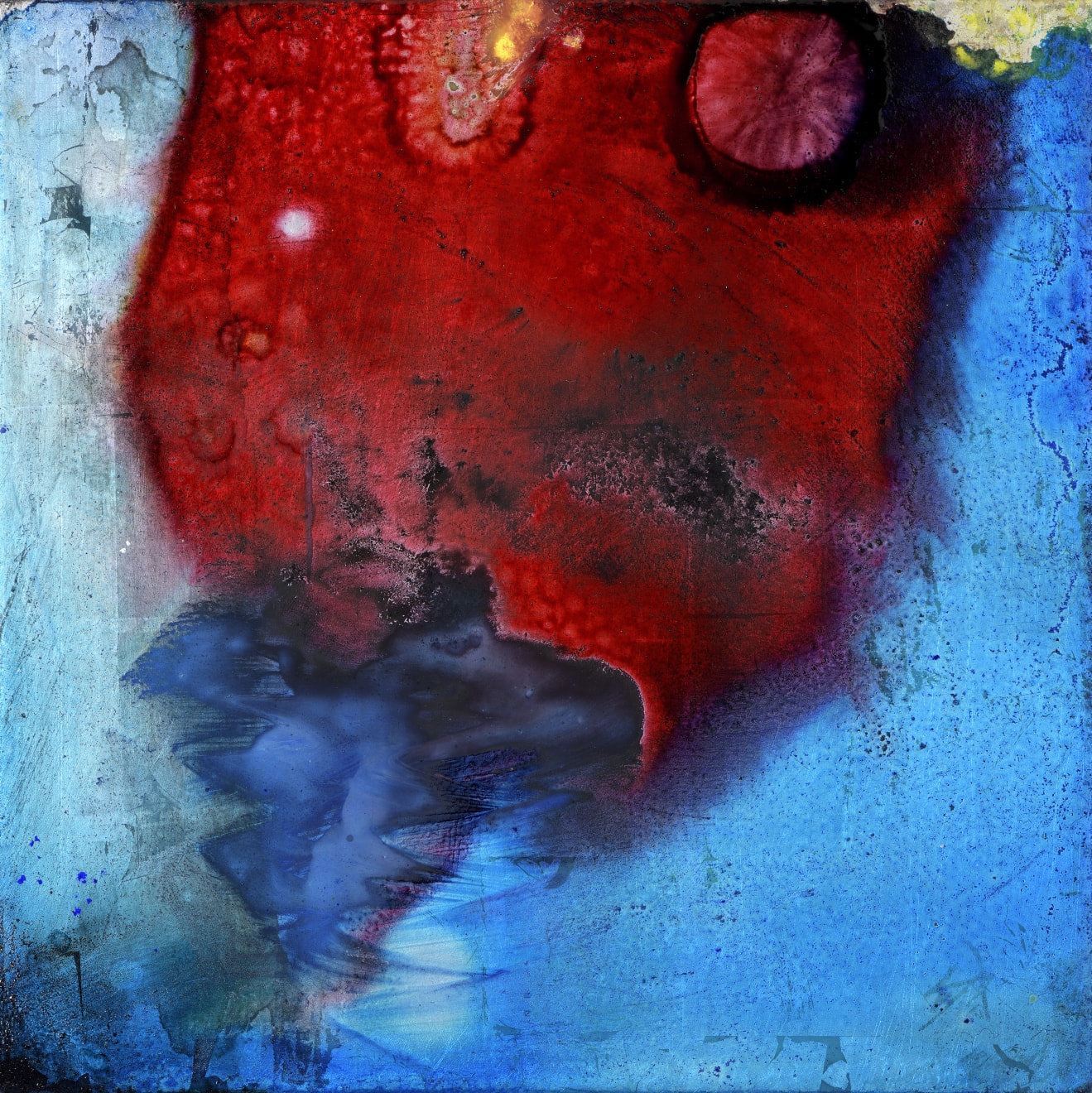 Alice Cescatti, Underwater Fruit, 2019