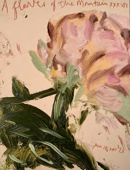 Philip Maltman, A Flower of the mountain XXXVIII, 2022