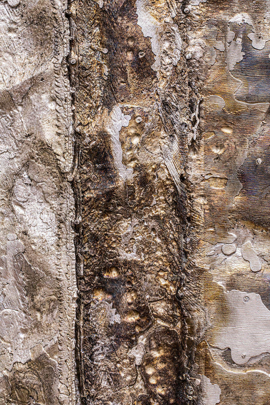 Michelle S. Cho, Peltasts, 2022