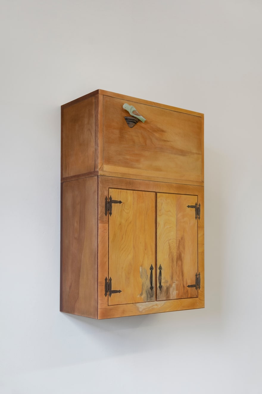 Samuel Alexander Forest, Darcey’s cupboard, 2023