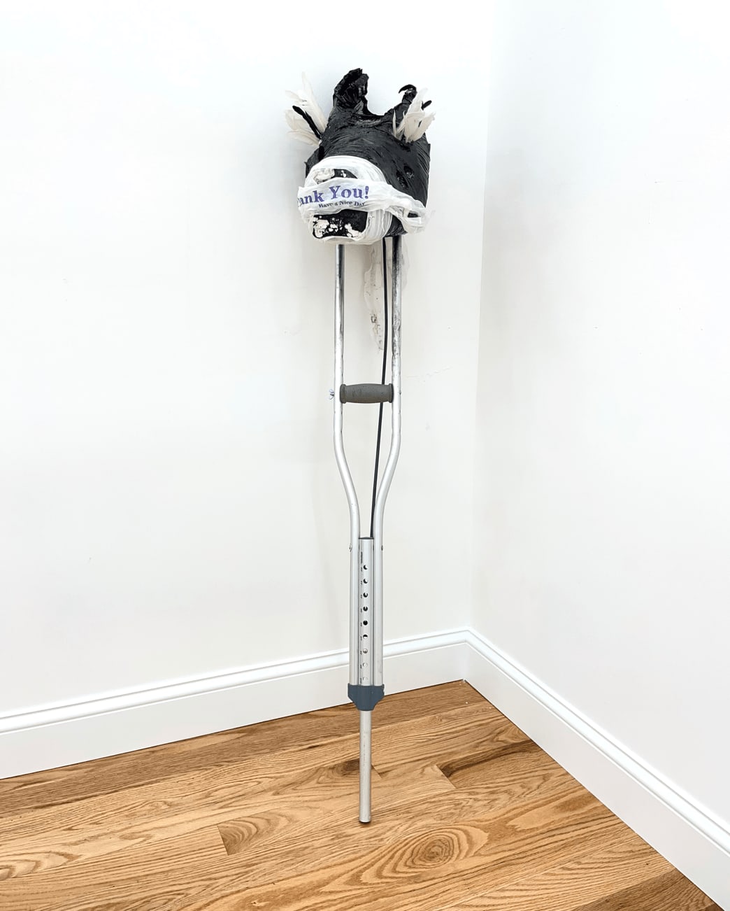 Jesse Darling, Bucephalus/Comanche (War Horse), 2016