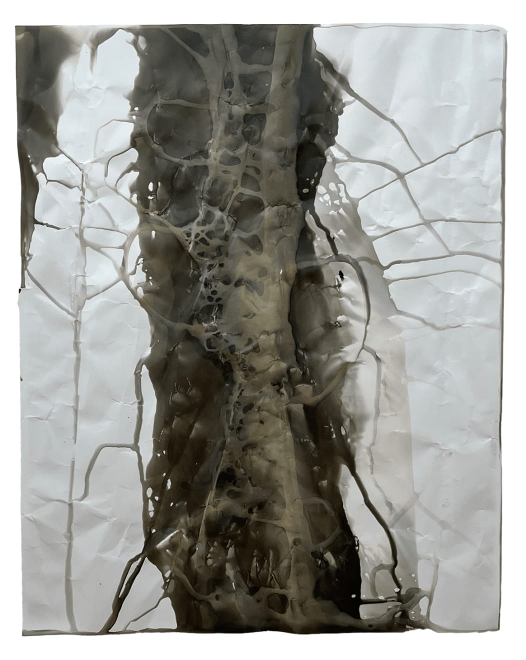 Joy Episalla, Foldtogram (RCJ, January 2), 2023