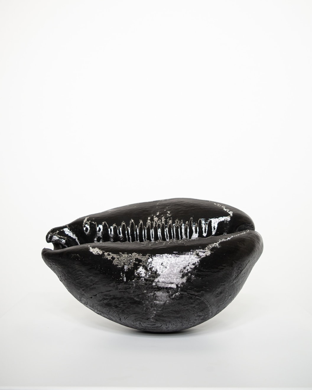 King Paris, Cowrie Shell, 2025