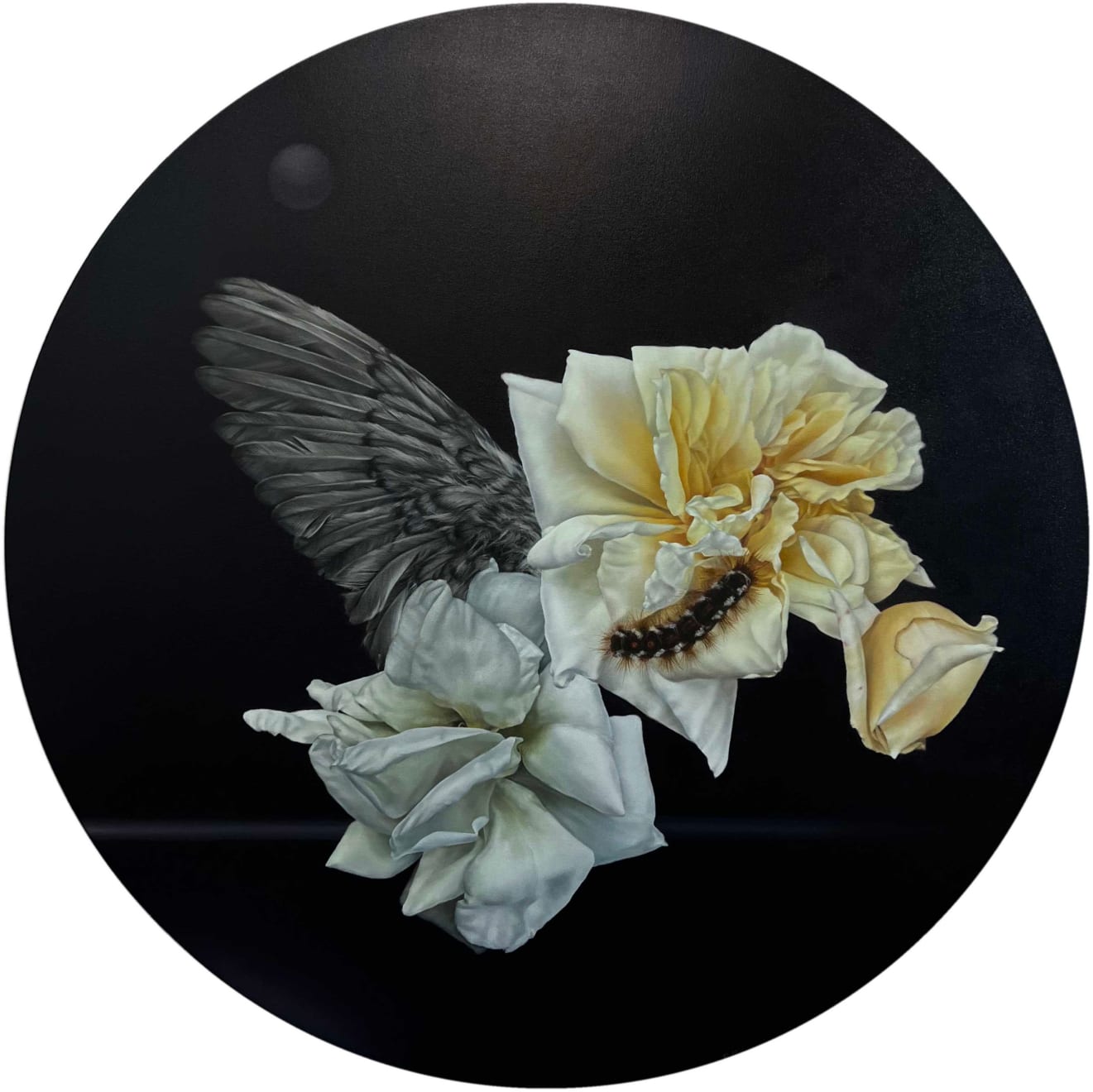 Yuki Aruga, Fed by the Sun, 2023