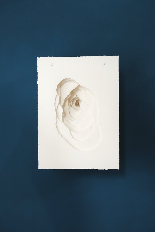 Angela Glajcar, 2024-020 Terforation, 2024