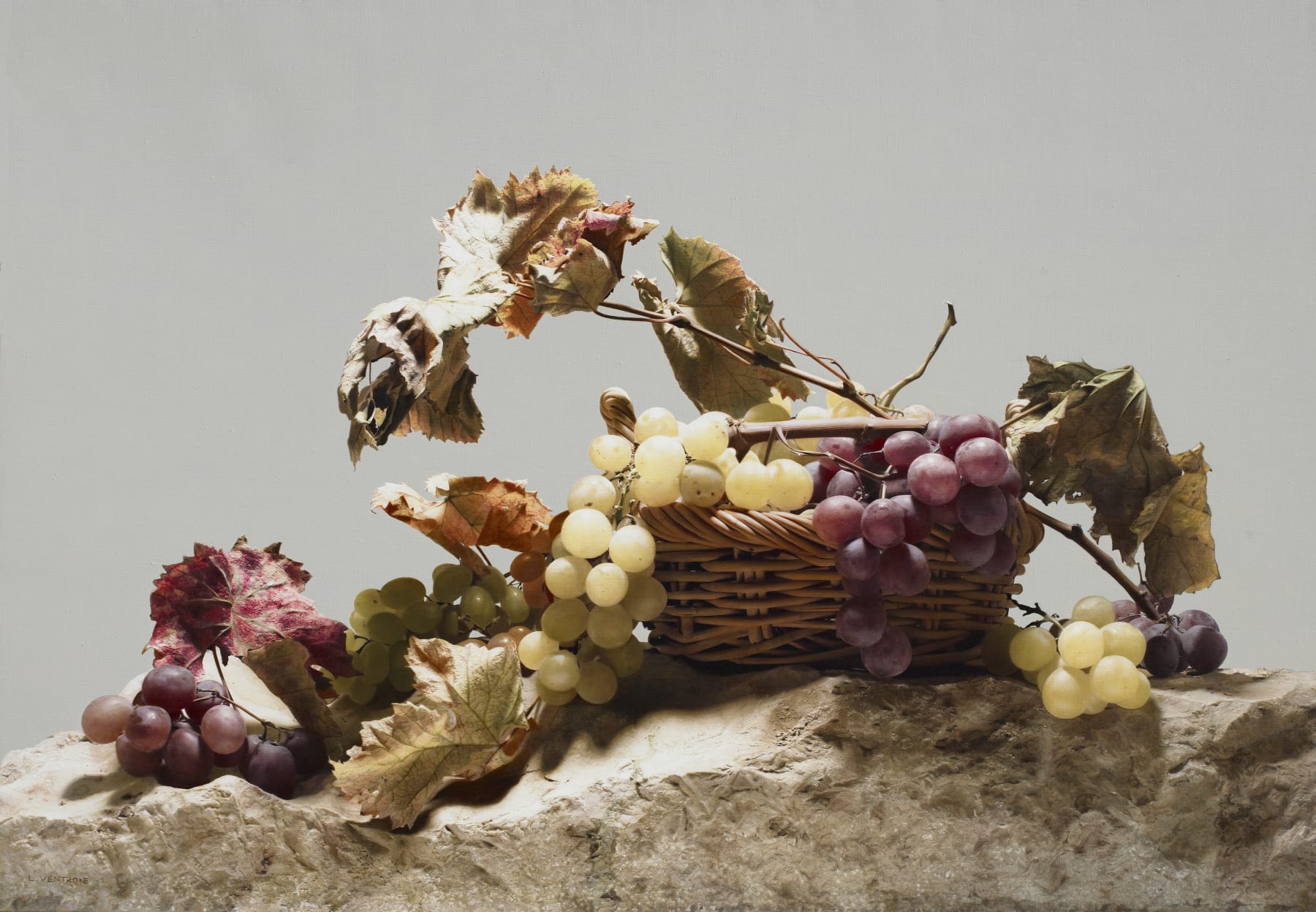 Luciano Ventrone, Vendemmia, 2019