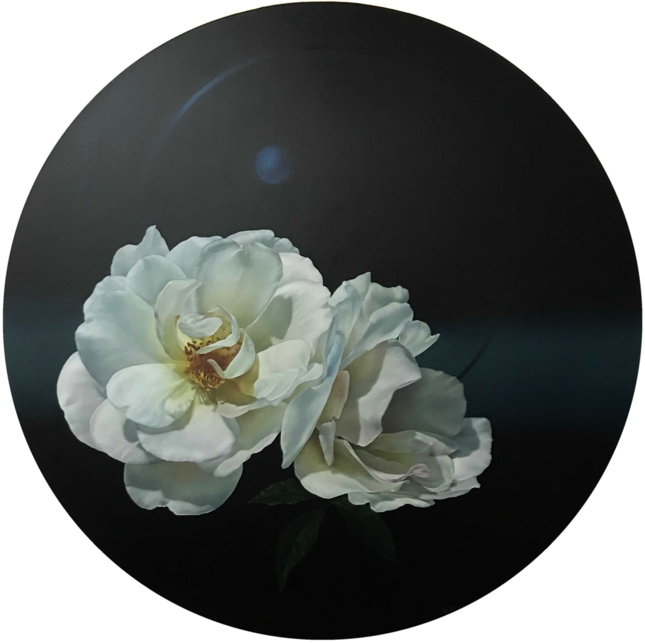 Yuki Aruga, Satellite, 2022