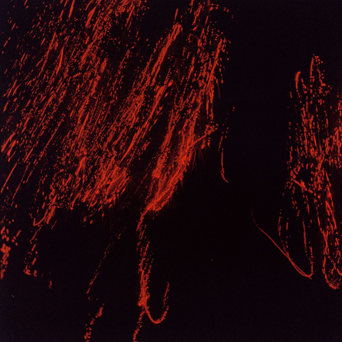 Philip Groening, The Path III - Laser Drawing Upon Reality, 2022