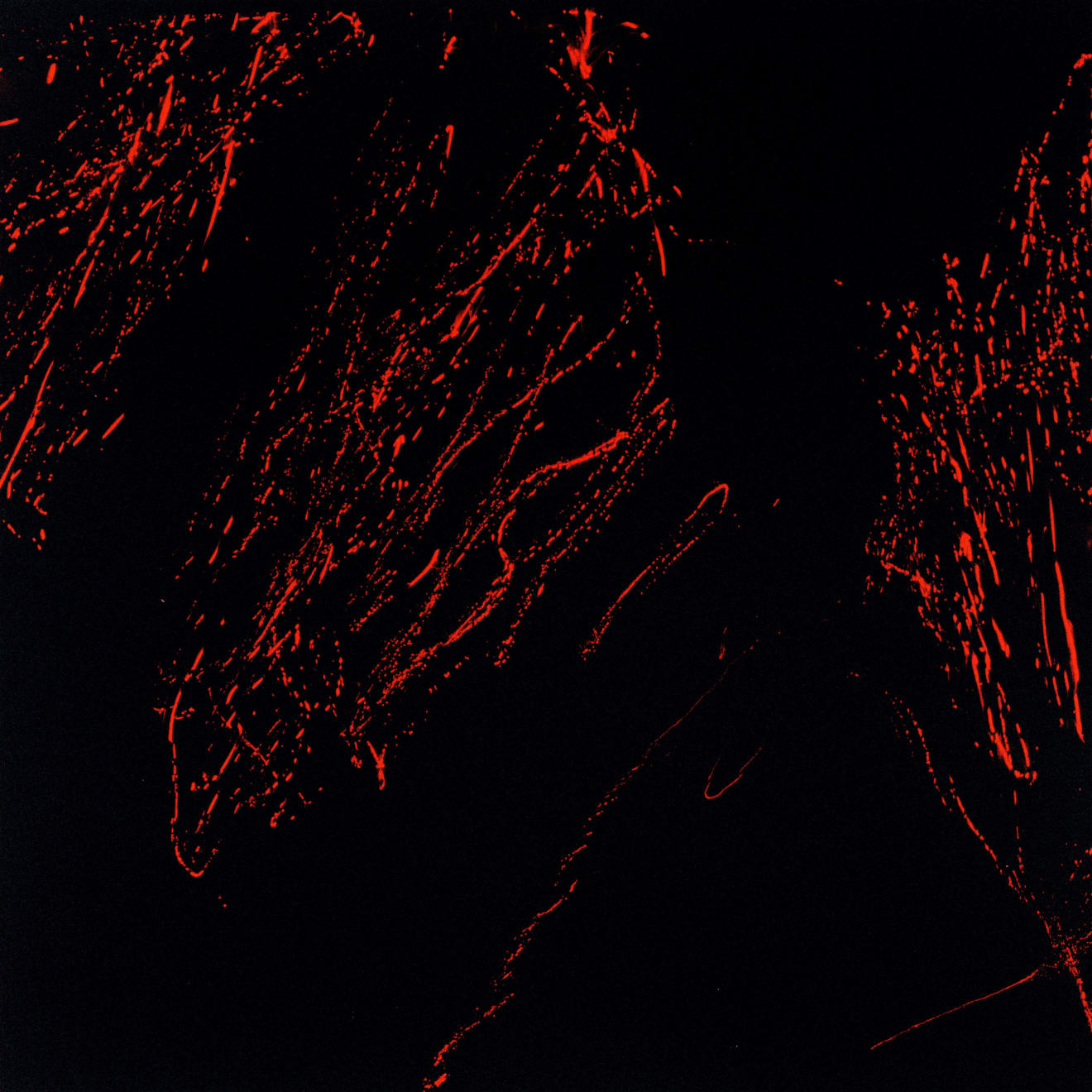 Philip Groening, The Path II - Laser Drawing Upon Reality, 2022