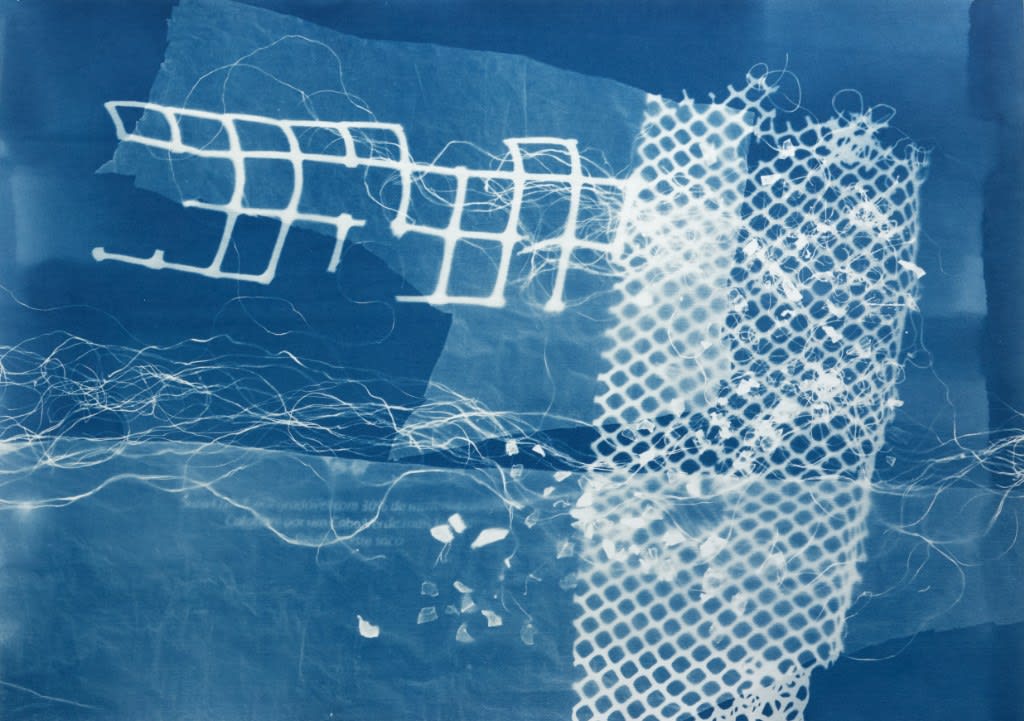 César Schofield Cardoso, Alga C #1, 2023