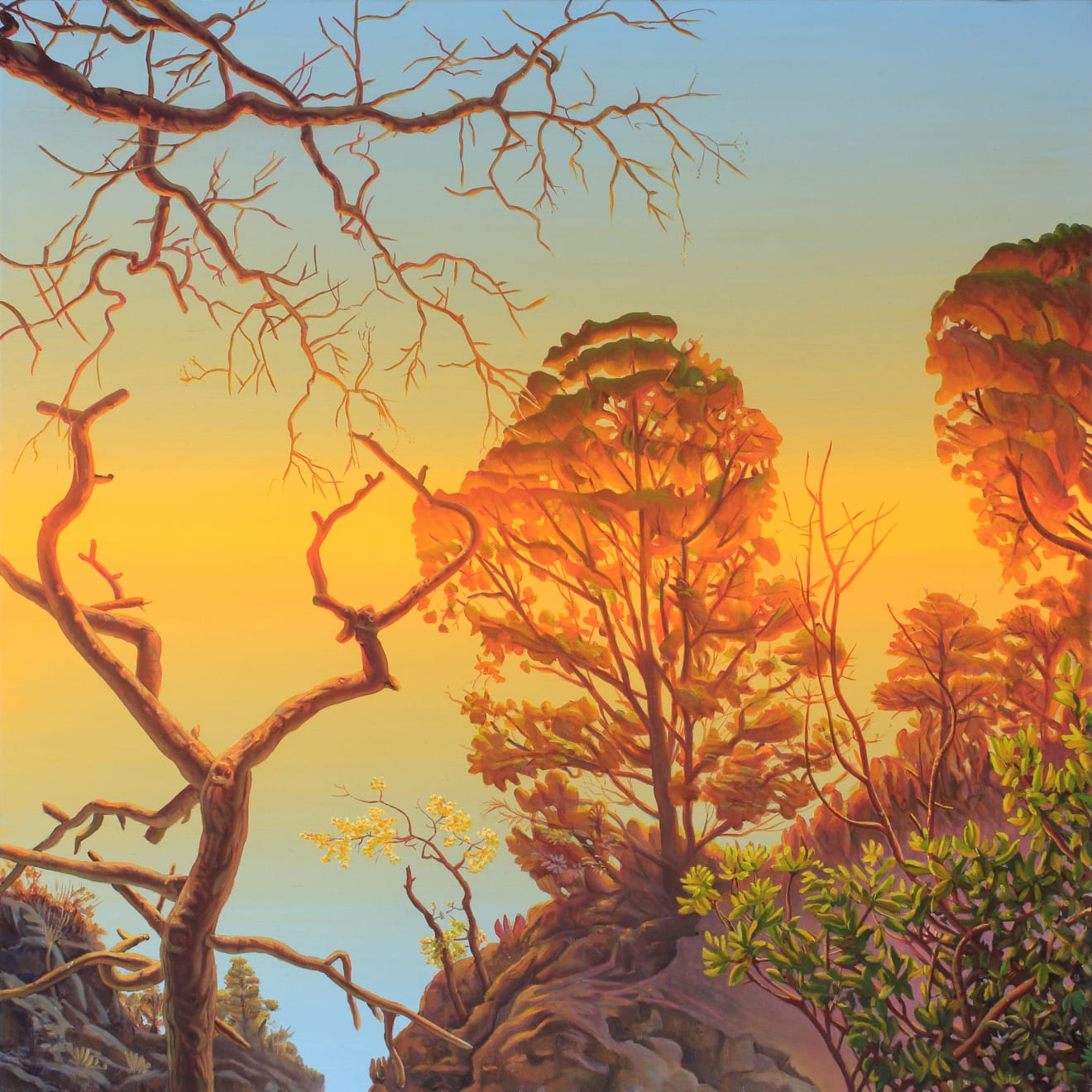 Carlos Matallana, Suite XXIII , 2016