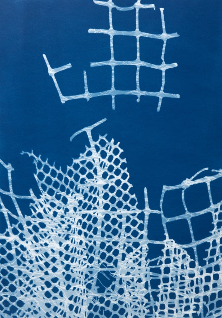 César Schofield Cardoso, Alga Set 1, 2023