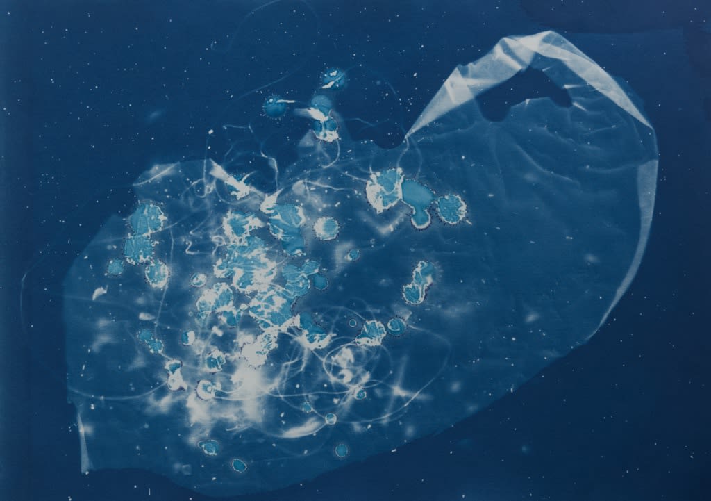 César Schofield Cardoso, Alga C #2, 2023