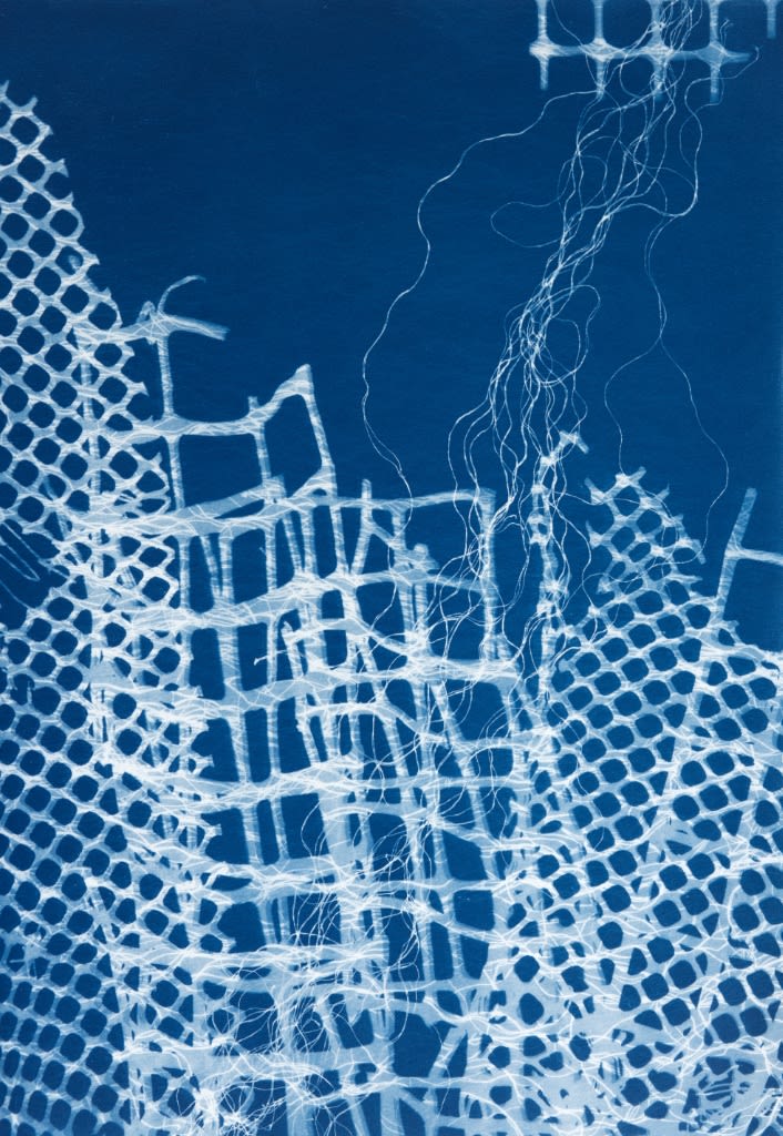 César Schofield Cardoso, Alga Set 1, 2023