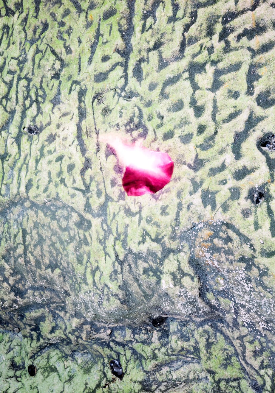 Marleen Sleeuwits, Rhotomagin no. 5, 2023