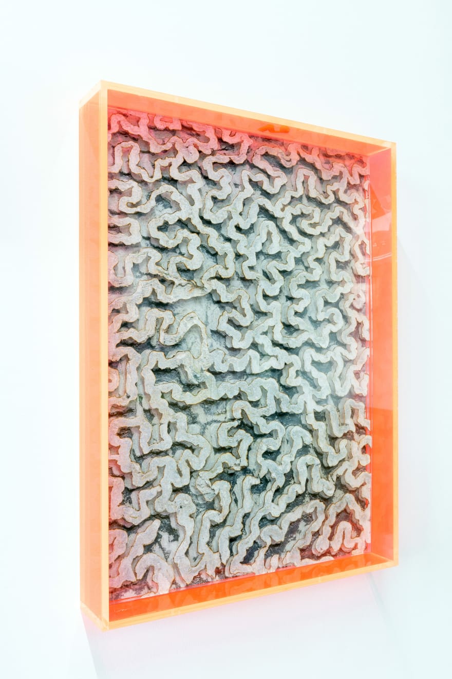 Marleen Sleeuwits, Rhotomagin no. 7, 2023