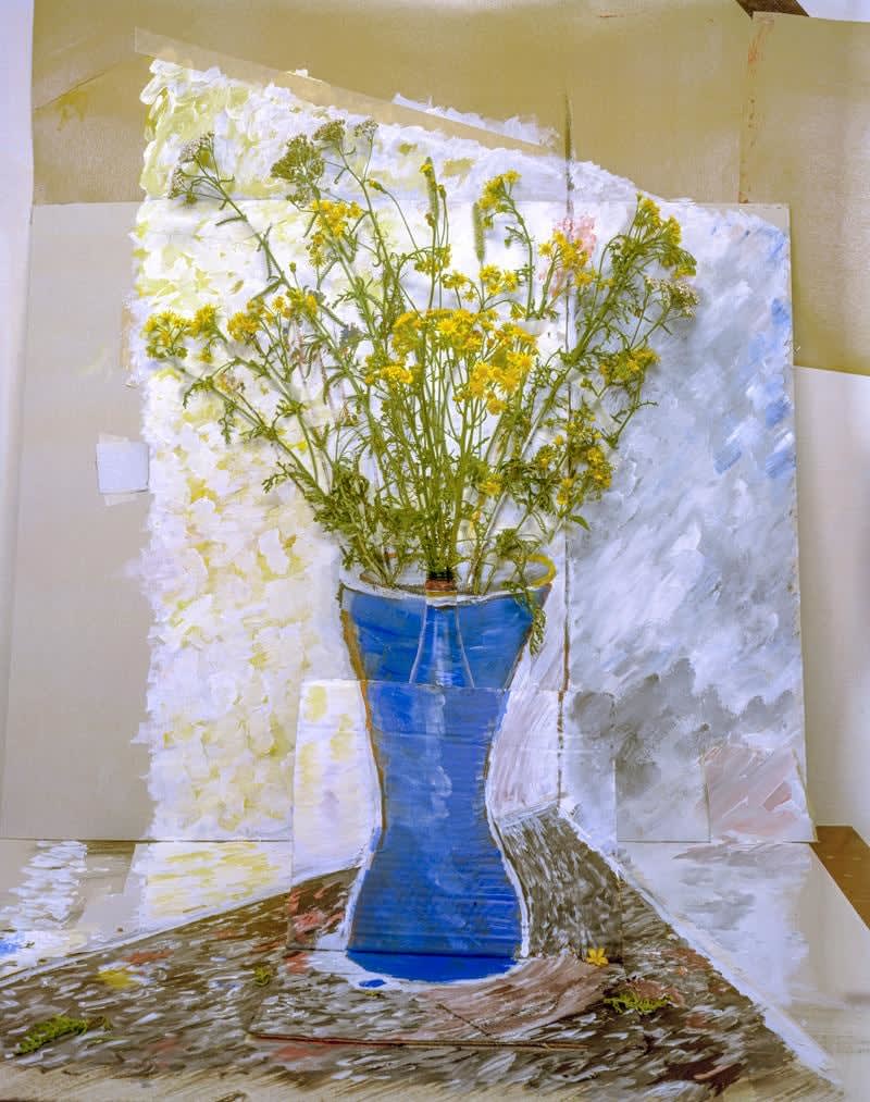 Femke Dekkers, Field Flowers, 2021