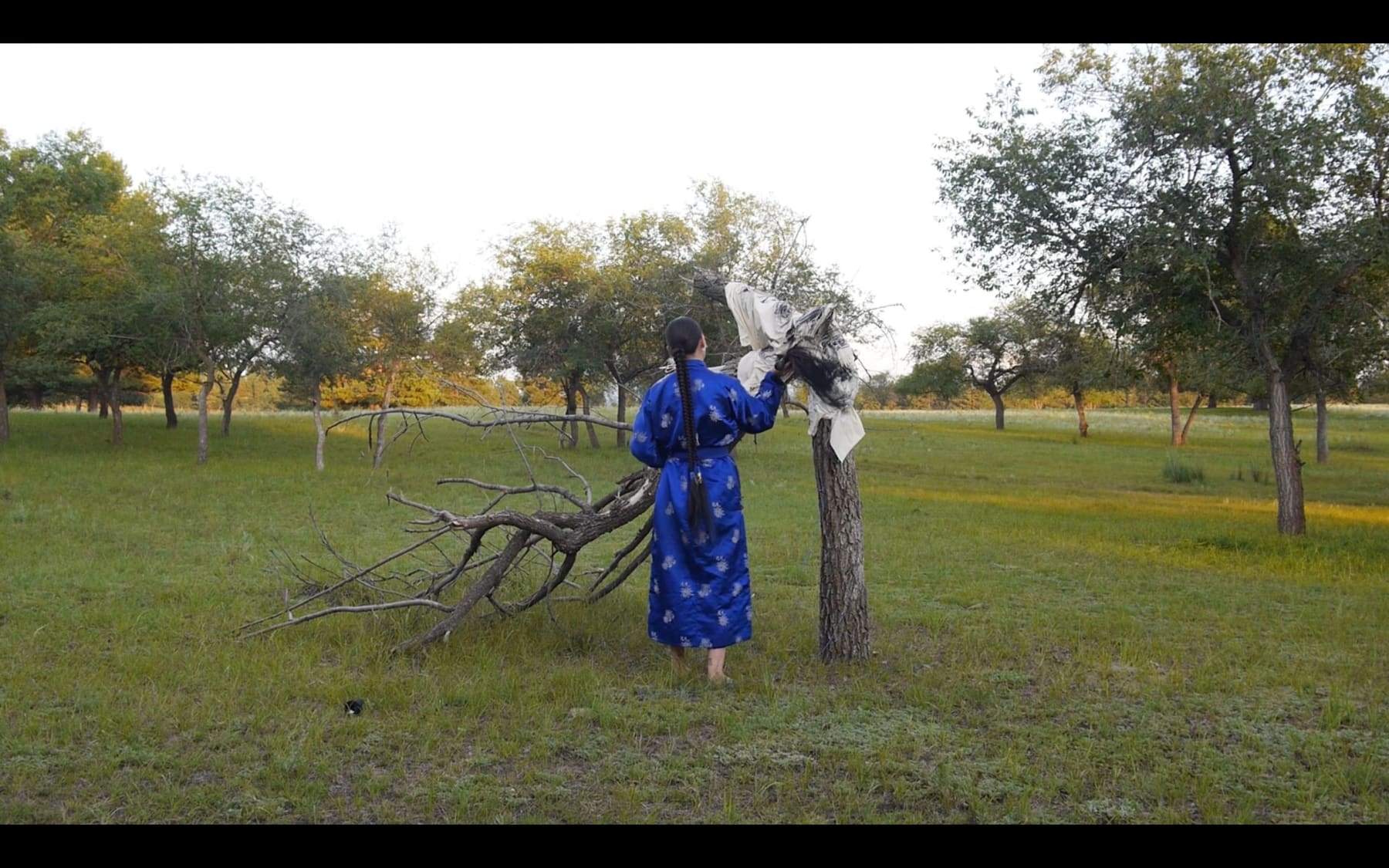 Nomin Zezegmaa, A Yielding Vessel, 2023