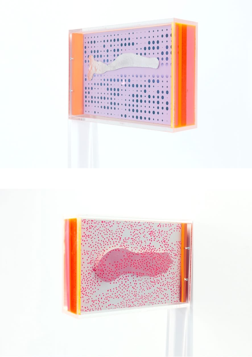 Marleen Sleeuwits, Ongoing Series of False Ceilings no. 24, 2025