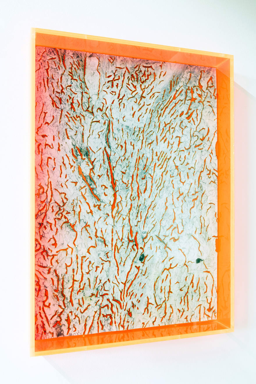 Marleen Sleeuwits, Rhotomagin no. 6, 2023