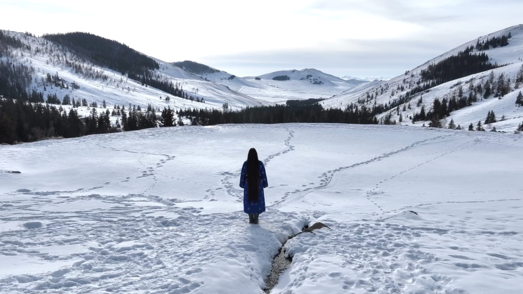 Nomin Zezegmaa, The World is a Womb, the Forest is a Vessel, 2023