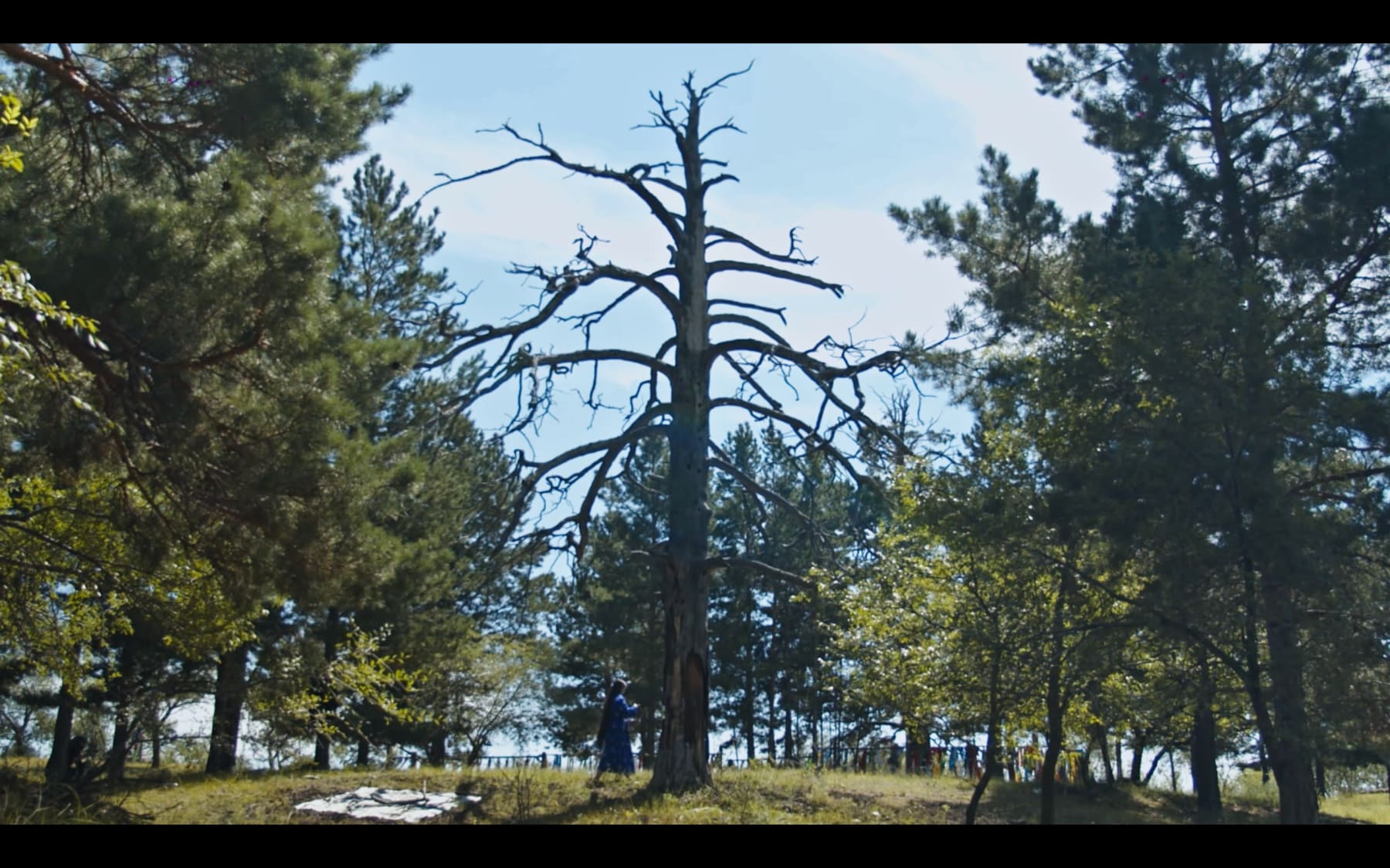 Nomin Zezegmaa, Whispers of Eej Mod, 2024