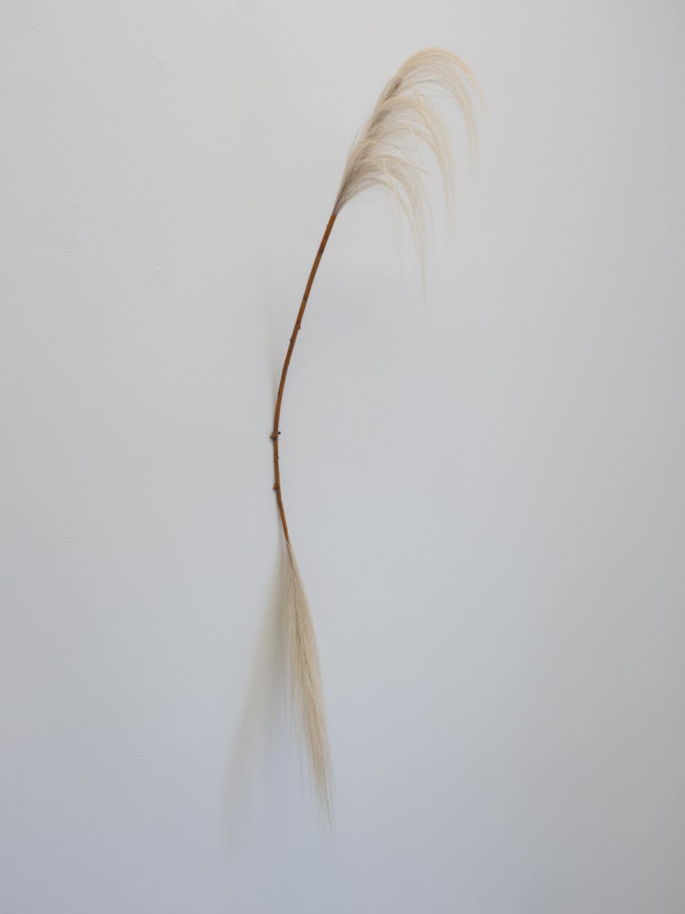 Nomin Zezegmaa, The Wind on the Other Side, 2024