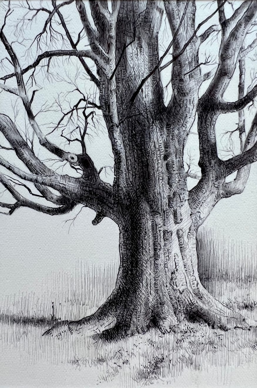 Dina Brodsky, The Overstory XX, 2024