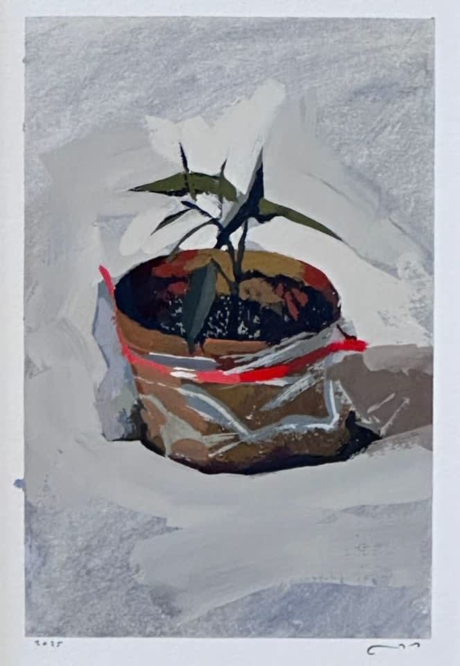 Gustav Sundin, Untitled, 2025