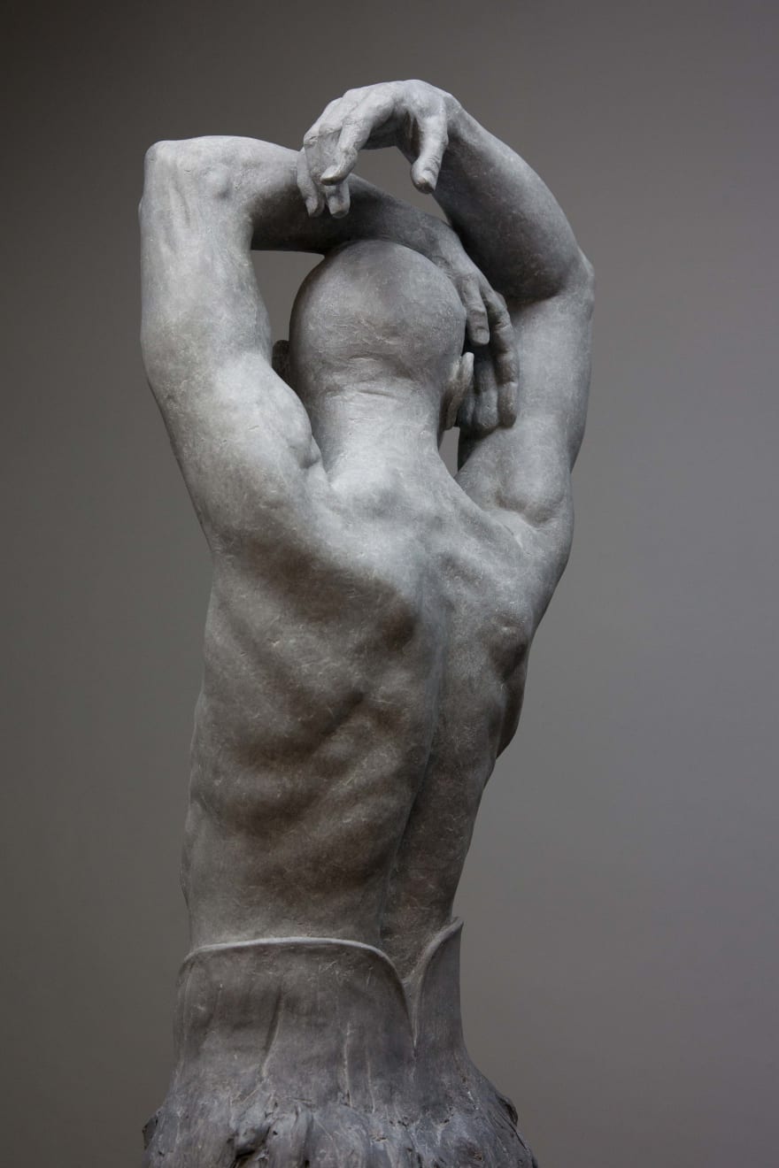 Coderch & Malavia, The great swan, 2018