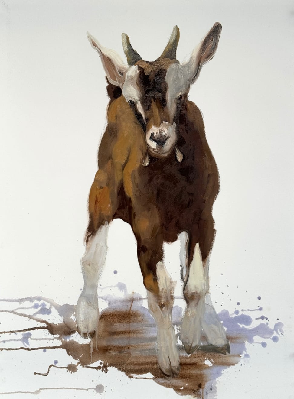 Philine van der Vegte, Toggenburg kid, 2025