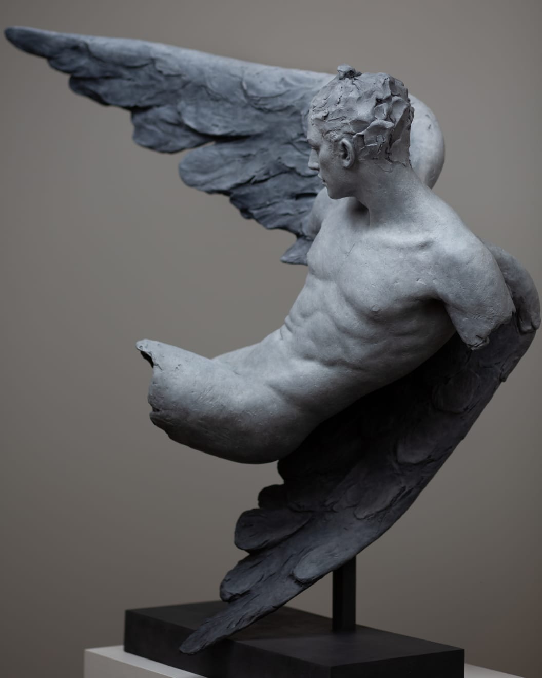 Coderch & Malavia, Alis volat propriis, 2023