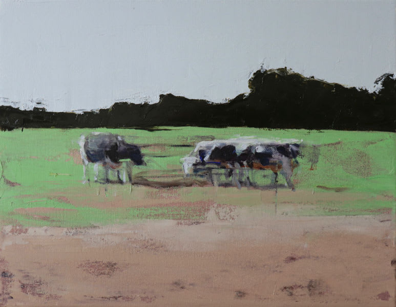 Nicolas Sanchez, Drive by cows, 2019