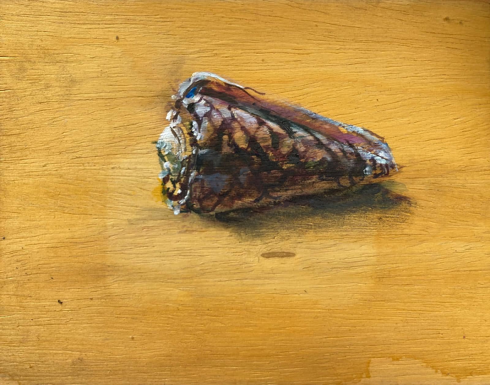 Sam Drukker, Schelp, 2024